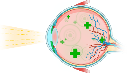 eye